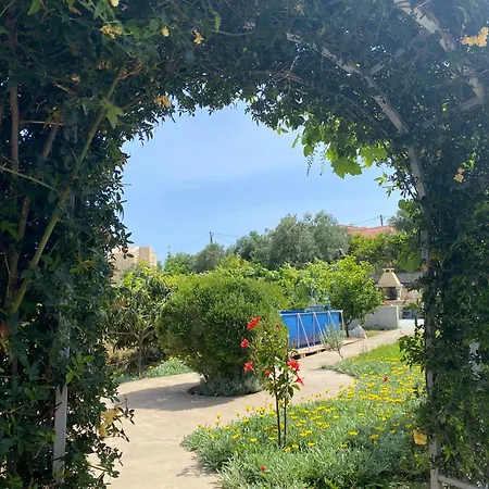 House With A Garden In The *